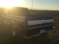 1995 Ford F150 for sale in Michigan (ID-137598)