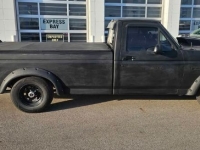 1995 Ford F150 for sale in Michigan (ID-141445)