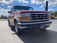 1995 Ford F150 for sale in Michigan (ID-155164)