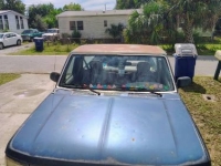 1995 Ford F150 for sale in Michigan (ID-161637)