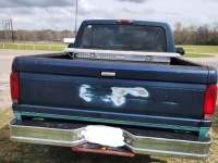 1995 Ford F150 for sale in Michigan (ID-162998)