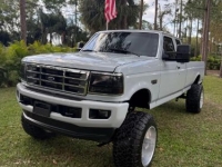 1995 Ford F250 for sale in Michigan (ID-138323)