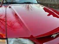 1995 Ford Mustang for sale in Michigan (ID-137095)