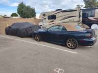 1995 Ford Mustang GT for sale in Michigan (ID-137541)
