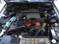 1995 Ford Mustang GT for sale (ID-164453)