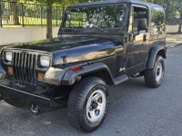 1995 Jeep Wrangler for sale in Michigan (ID-133694)