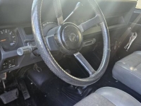1995 Jeep Wrangler for sale in Michigan (ID-133694)