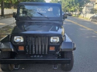 1995 Jeep Wrangler for sale in Michigan (ID-133694)