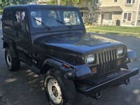 1995 Jeep Wrangler for sale in Michigan (ID-133694)