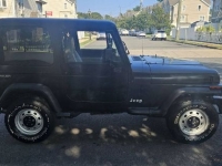 1995 Jeep Wrangler for sale in Michigan (ID-133694)