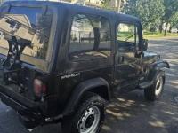 1995 Jeep Wrangler for sale in Michigan (ID-133694)
