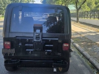 1995 Jeep Wrangler for sale in Michigan (ID-133694)