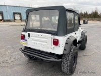 1995 Jeep Wrangler for sale in Wind Gap, Pennsylvania (ID-138675)