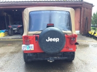 1995 Jeep Wrangler for sale in Michigan (ID-140450)