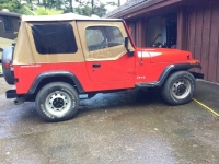 1995 Jeep Wrangler for sale in Michigan (ID-140450)