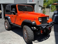 1995 Jeep Wrangler for sale in Michigan (ID-142751)