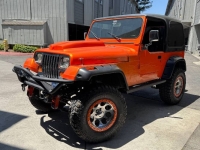 1995 Jeep Wrangler for sale in Michigan (ID-142751)