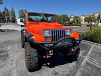 1995 Jeep Wrangler for sale in Michigan (ID-142751)