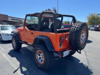 1995 Jeep Wrangler for sale in Michigan (ID-142751)