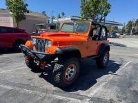 1995 Jeep Wrangler for sale in Michigan (ID-142751)