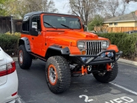 1995 Jeep Wrangler for sale in Michigan (ID-142751)