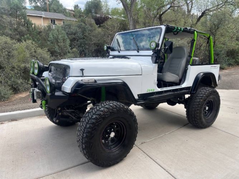 1995 Jeep Wrangler for sale in Michigan (ID-145678)