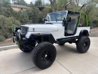 1995 Jeep Wrangler for sale in Michigan (ID-145678)