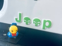 1995 Jeep Wrangler for sale in Michigan (ID-145678)