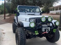 1995 Jeep Wrangler for sale in Michigan (ID-145678)
