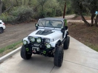 1995 Jeep Wrangler for sale in Michigan (ID-145678)