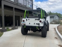 1995 Jeep Wrangler for sale in Michigan (ID-145678)