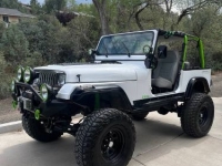 1995 Jeep Wrangler for sale in Michigan (ID-145678)