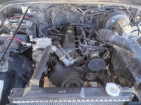 1995 Jeep Wrangler for sale in Michigan (ID-155387)