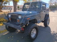 1995 Jeep Wrangler for sale in Michigan (ID-155387)