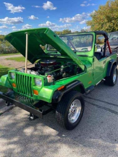 1995 Jeep Wrangler for sale in Michigan (ID-156245)