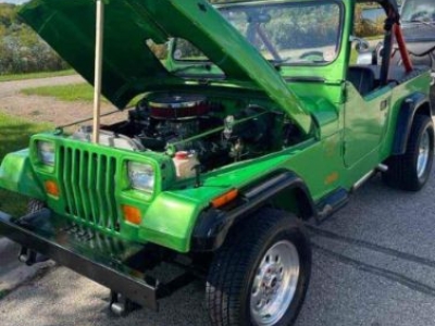 1995 Jeep Wrangler for sale