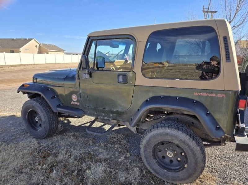 1995 Jeep Wrangler for sale in Michigan (ID-164228)