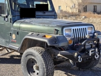 1995 Jeep Wrangler for sale in Michigan (ID-164228)