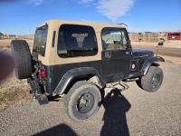 1995 Jeep Wrangler for sale in Michigan (ID-164228)