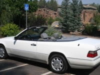 1995 Mercedes-Benz E320 for sale in Michigan (ID-100386)