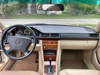 1995 Mercedes-Benz E320 for sale in Michigan (ID-125137)