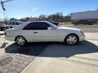 1995 Mercedes-Benz S600 for sale in Michigan (ID-114785)