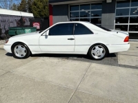 1995 Mercedes-Benz S600 for sale in Michigan (ID-114785)