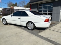 1995 Mercedes-Benz S600 for sale in Michigan (ID-114785)