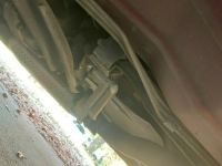 1995 Pontiac Firebird for sale in Michigan (ID-97850)