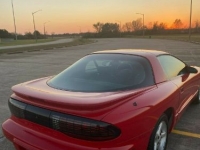 1995 Pontiac Firebird for sale in Michigan (ID-97850)