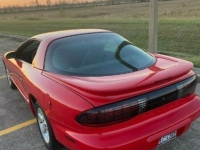 1995 Pontiac Firebird for sale in Michigan (ID-97850)