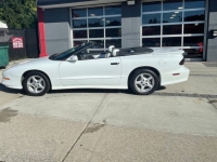 1995 Pontiac Firebird for sale in Michigan (ID-107026)