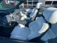 1995 Pontiac Firebird for sale in Michigan (ID-107026)