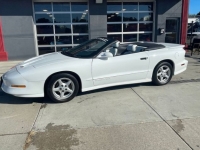 1995 Pontiac Firebird for sale in Michigan (ID-107026)